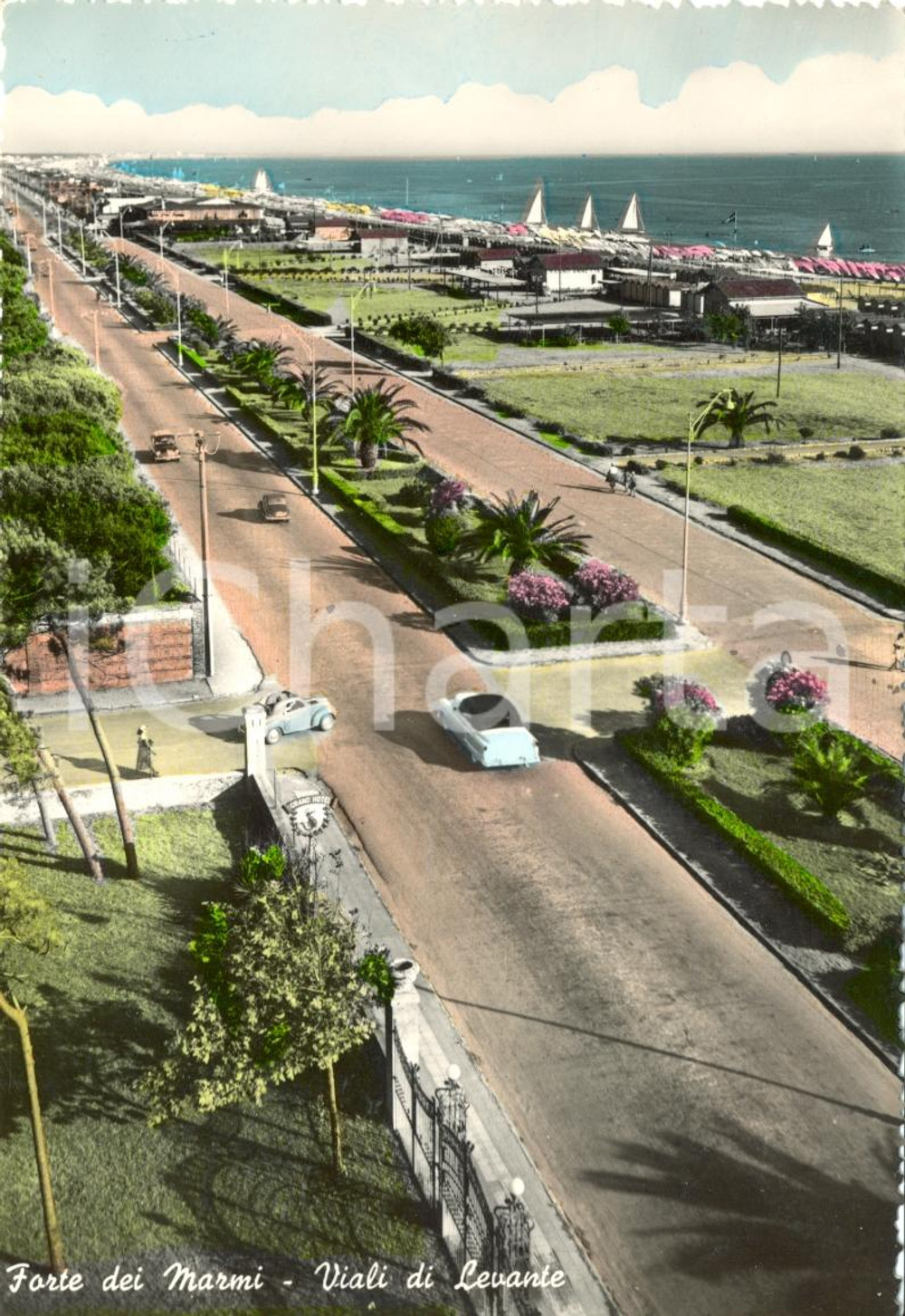 Cartolina originale da collezione 1955 FORTE DEI MARMI LU Veduta dei Viali di Levante Cartolina postale FG VG 1