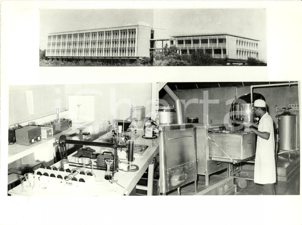Fotografia d epoca originale 1960 ca PHNOMPENH Cambodia Vedute Istituto biochimico PASTEUR Fotografia 1