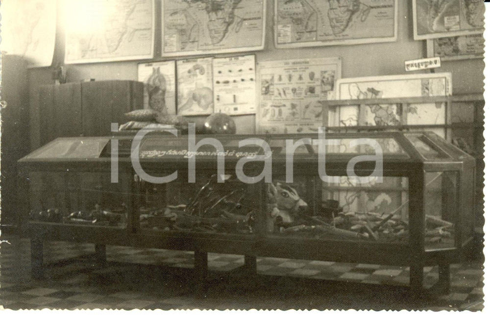 Fotografia d epoca originale 1955 ca KAMPONGTHOM Cambodia Giocattoli fabbricati da alunni Fotografia 1