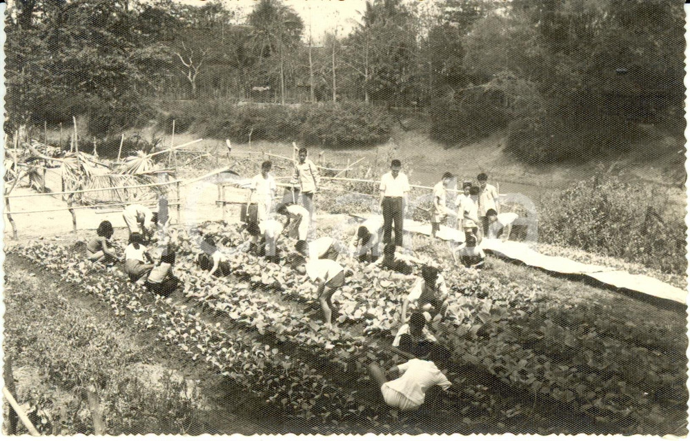 Fotografia d epoca originale 1955 ca KAMPONGTHOM Cambodia Lezione agricoltura applicata scuola STAUNG Foto 1