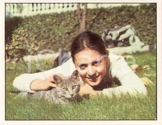 Oggetto da collezione cartaceo PANINI  CANTANTI 1972 Figurina Anna IDENTICI n. 31 Grandi raccolte gioventÃ¹ 1