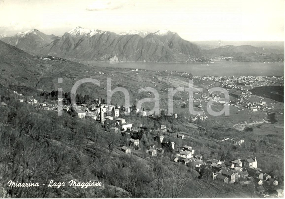 Cartolina originale da collezione 1958 MIAZZINA VB Veduta panoramica  LAGO MAGGIORE Cartolina postale FG VG 1