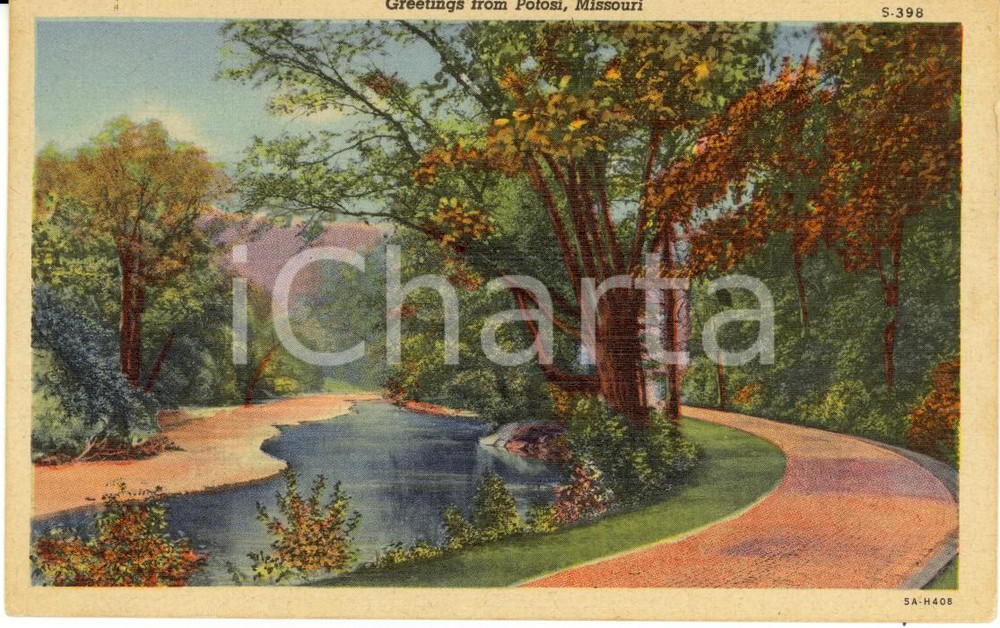 Cartolina originale da collezione 1950 ca POTOSI, MISSOURI USA The river through trees Cartolina ILLUSTRATA FP 1