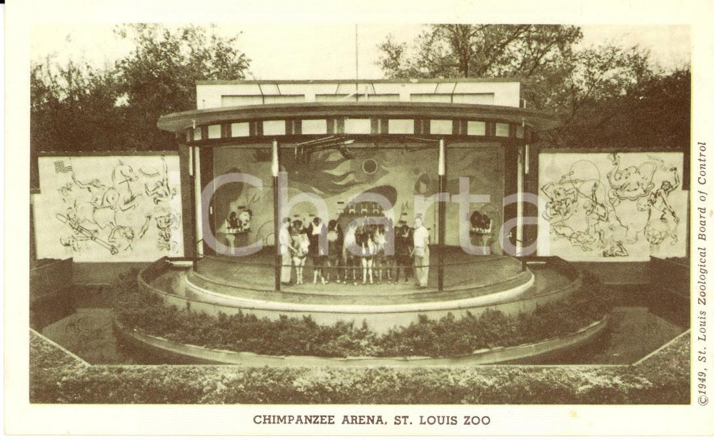 Cartolina originale da collezione 1949 SAINT LOUIS, MISSOURI USA L arena degli scimpanzÃ© Cartolina FP NV 1