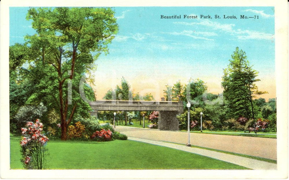 Cartolina originale da collezione 1940 ca SAINT LOUIS, MISSOURI USA Partial view of FOREST PARK Postcard FP NV 1