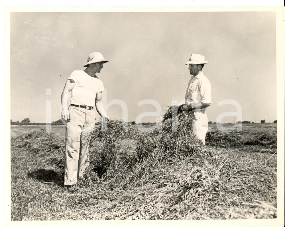 Fotografia d epoca originale 1950 ca USA Due ufficiali raccolgono sterpaglie in una base Foto 23x17 cm 1