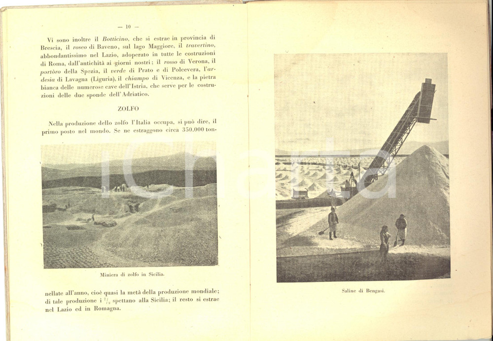Libro, pubblicazione d epoca 1924 Dante GIROMINI Albo scientifico ad uso delle scuole elementari BEMPORAD 1