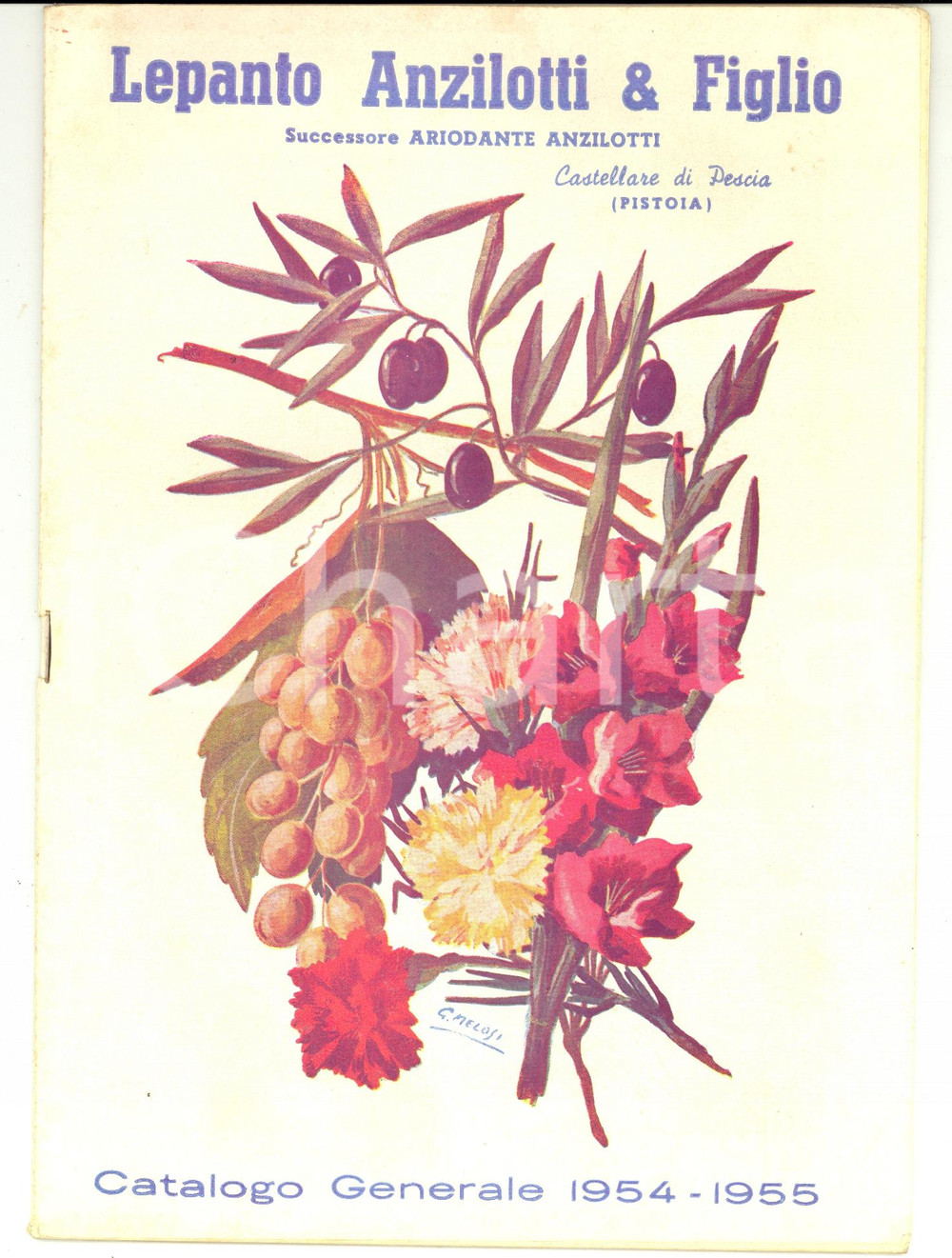 Materiale pubblicitario d’epoca 1954 CASTELLARE DI PESCIA PT ANZILOTTI Catalogo Orticoltura Ill. G. MELOSI 1