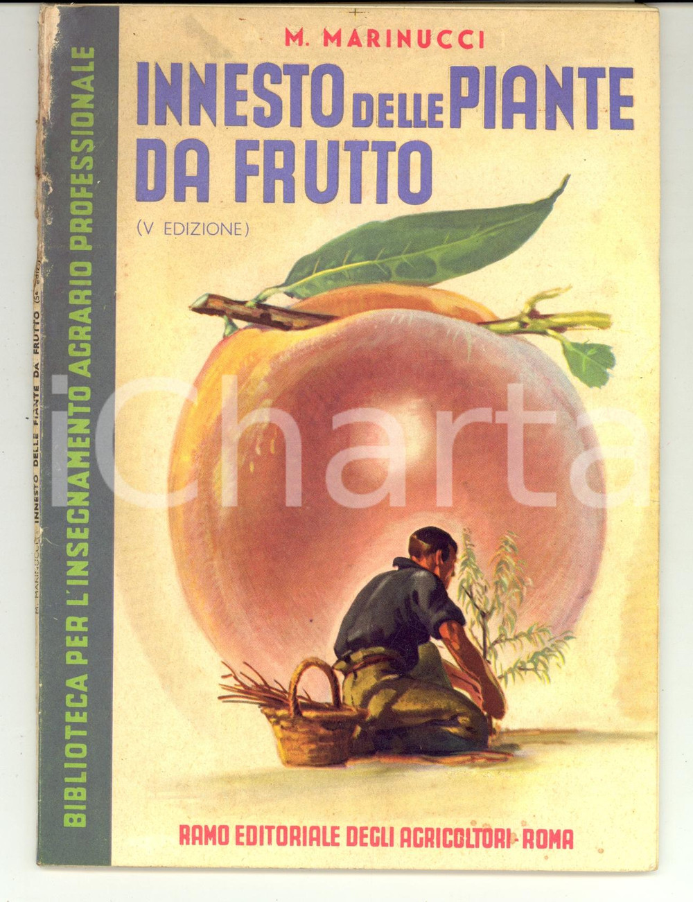 Libro, pubblicazione d epoca 1956 ROMA Mario MARINUCCI Innesto delle piante da frutto Ed. Agricoltori 1