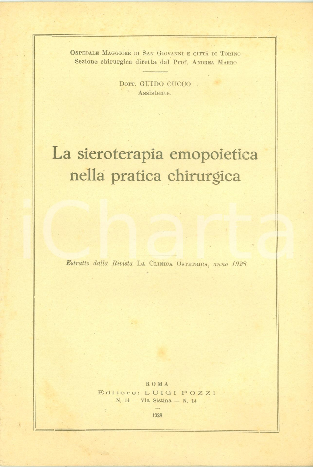 Libro, pubblicazione d epoca 1928 Guido CUCCO Sieroterapia emopoietica pratica chirurgica OSPEDALE TORINO 1