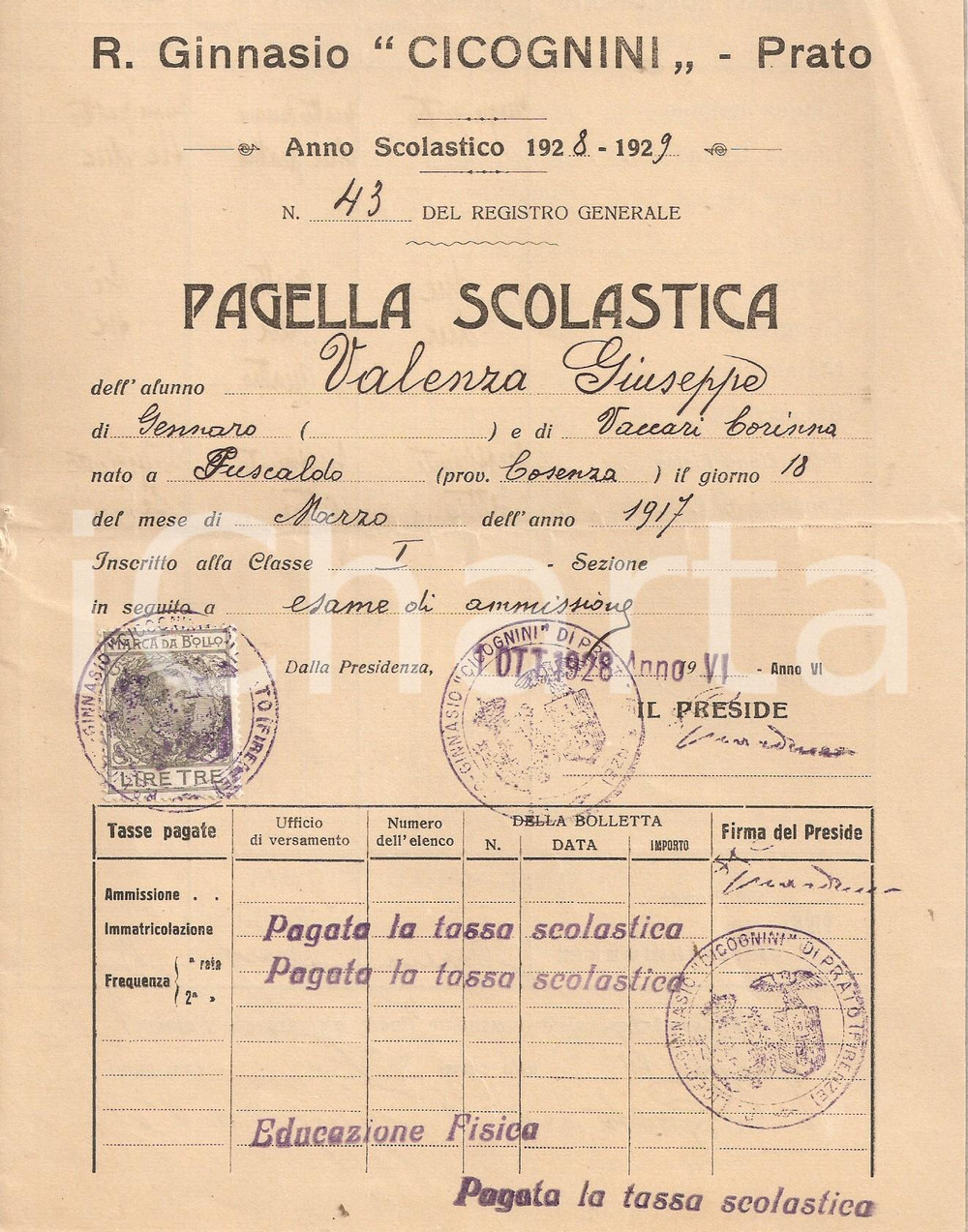 Oggetto da collezione cartaceo 1929 PRATO Regio Ginnasio CICOGNINI Pagella di Giuseppe VALENZA Ill. CISARI 1