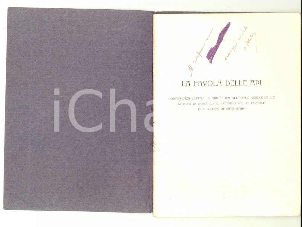 Libro, pubblicazione d epoca 1923 ROMA Pasquale MATERI La favola delle api Ed. Enrico VERDESI AUTOGRAFATO 1