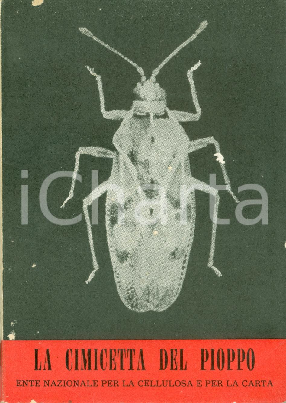 Libro, pubblicazione d epoca 1959 ENTE NAZIONALE CELLULOSA CARTA Cimicetta del pioppo ILLUSTRATO 1