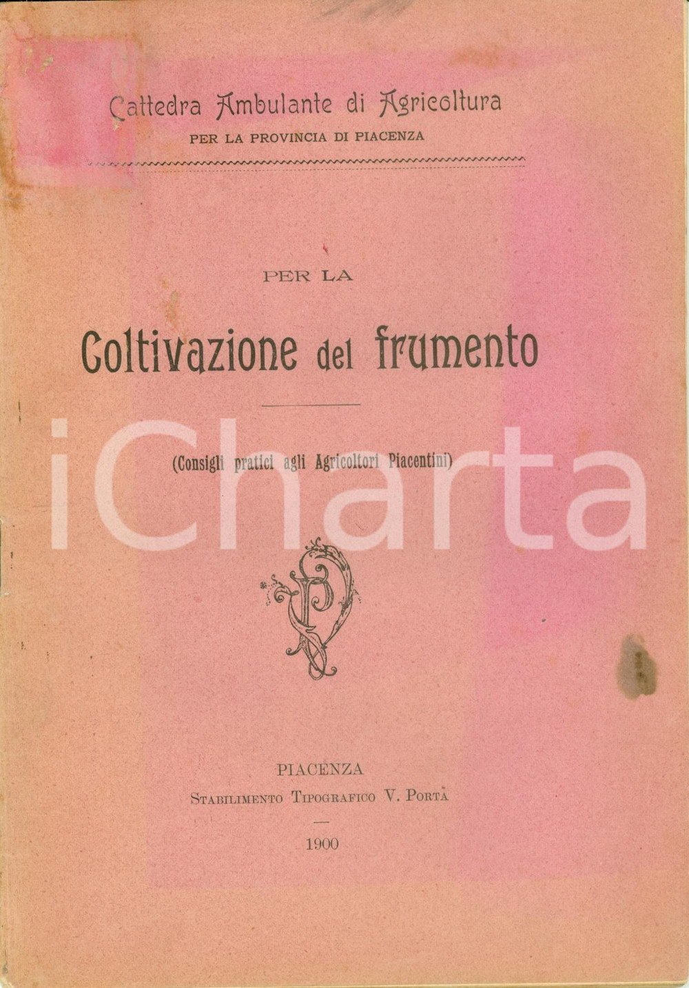 Libro, pubblicazione d epoca 1900 PIACENZA Ferruccio ZAGO Coltivazione frumento Cattedra agricoltura 1