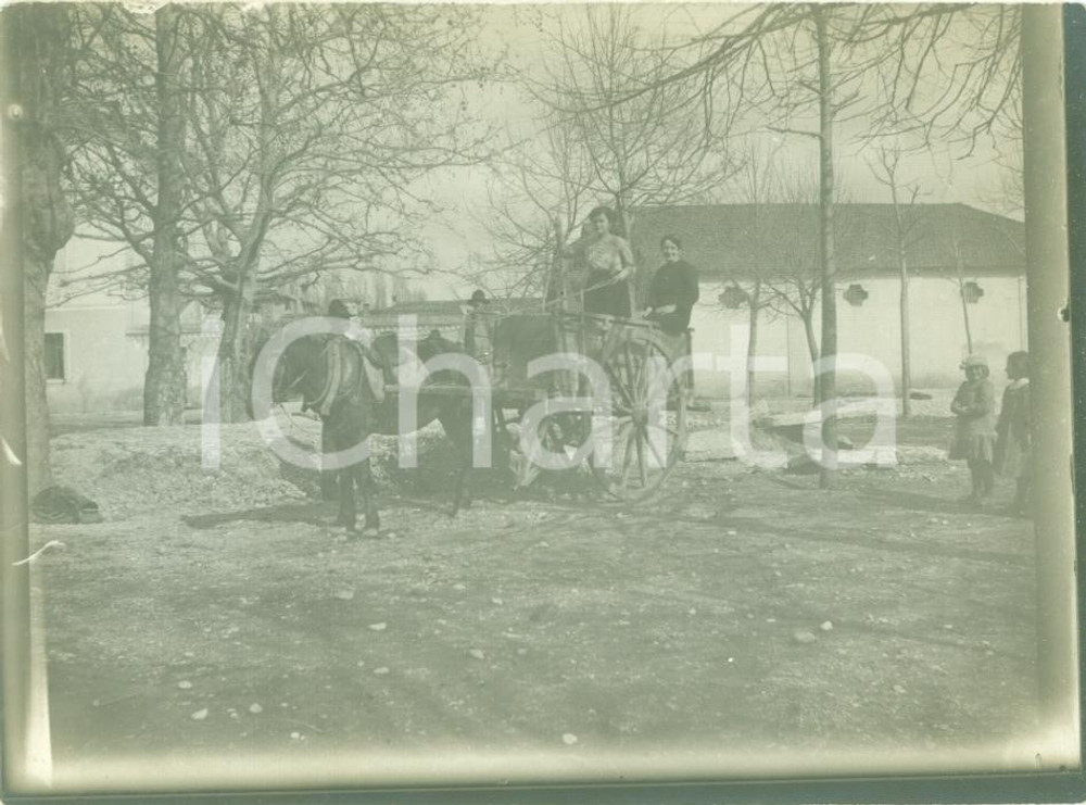 Fotografia d epoca originale 1920 ca AREA VENETA Contadina cocchiera alla guida del calesse FOTOGRAFIA 1