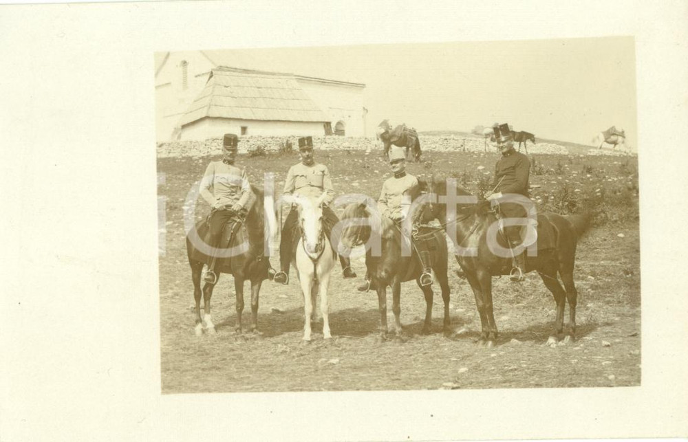 Fotografia d epoca originale 1910 ca AREA VENETA Ufficiali dell Esercito a cavallo Fotocartolina FP NV 1