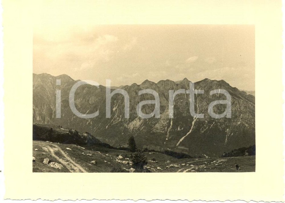 Fotografia d epoca originale 1936 BASSANO DEL GRAPPA Raduno 31Â° Regg.to Artiglieria Cime boschi MONTE GRAPPA 1