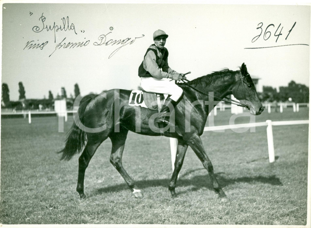 Fotografia d epoca originale 1935 ca MONZA ? Cavallo PUPILLA vince premio ippico DONGO Fotografia 1