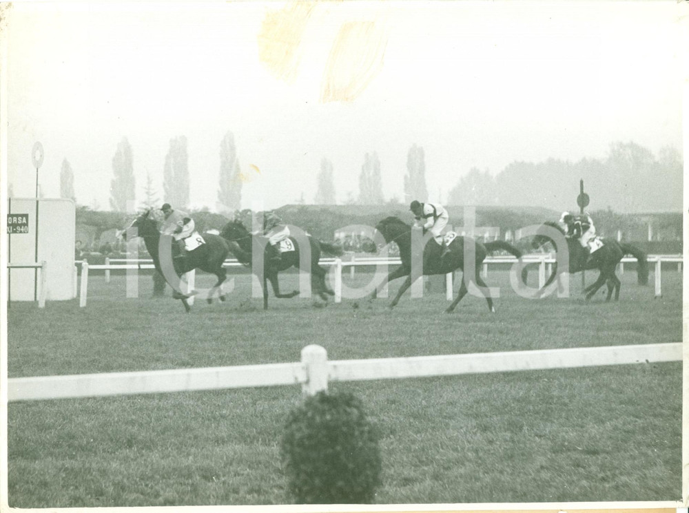 Fotografia d epoca originale 1935 ca MILANO SAN SIRO Cavalli al traguardo all Ippodromo FOTOGRAFIA 1