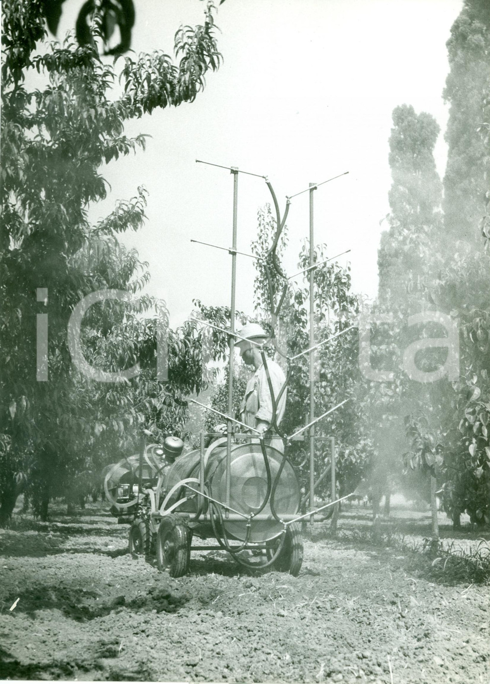 Fotografia d epoca originale 1965 ca LECCO Pompa irrorazione MOTO GUZZI G2 Fotografia ANIMATA pubblicitaria 1