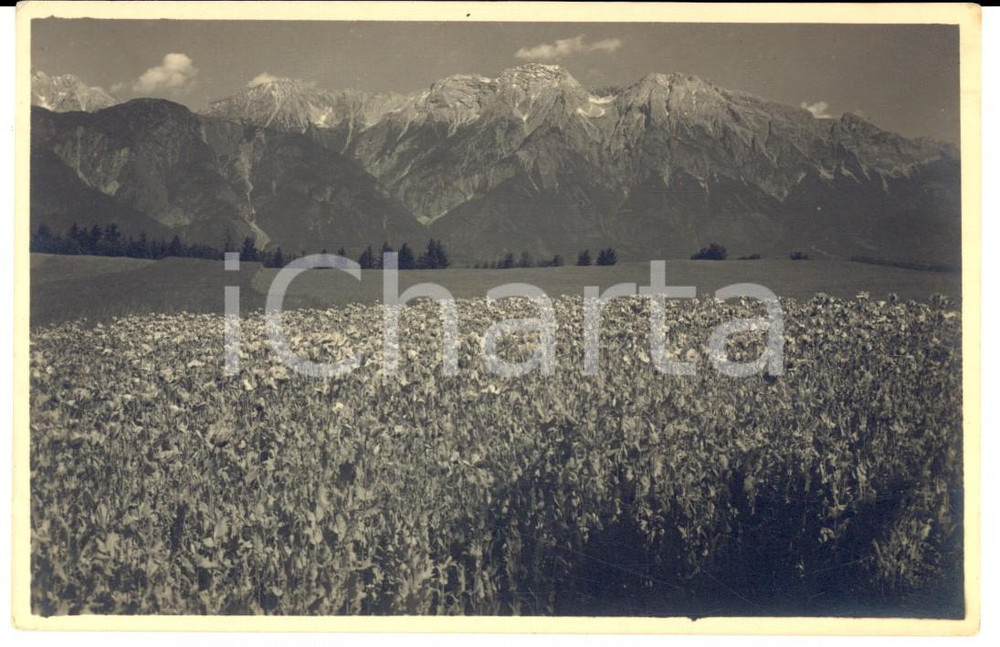 Fotografia d epoca originale 1918 TULFES AUSTRIA Veduta  con le montagne Foto Richard MULLER FP 1