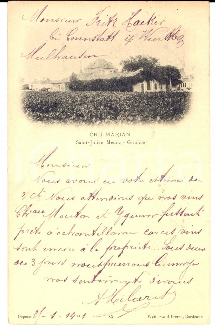 Autografo originale 1901 SAINTJULIEN BEYCHEVELLE F Cru Marian A. HILARET su vini CHATEAU MOUTON 1