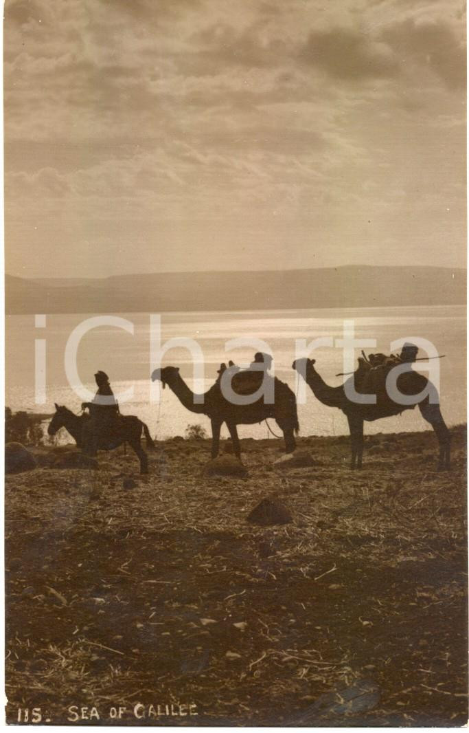 Cartolina originale da collezione 1920 ca PALESTINA MAR DI GALILEA Arabo a cavallo con cammelli ANIMATA FP NV 1