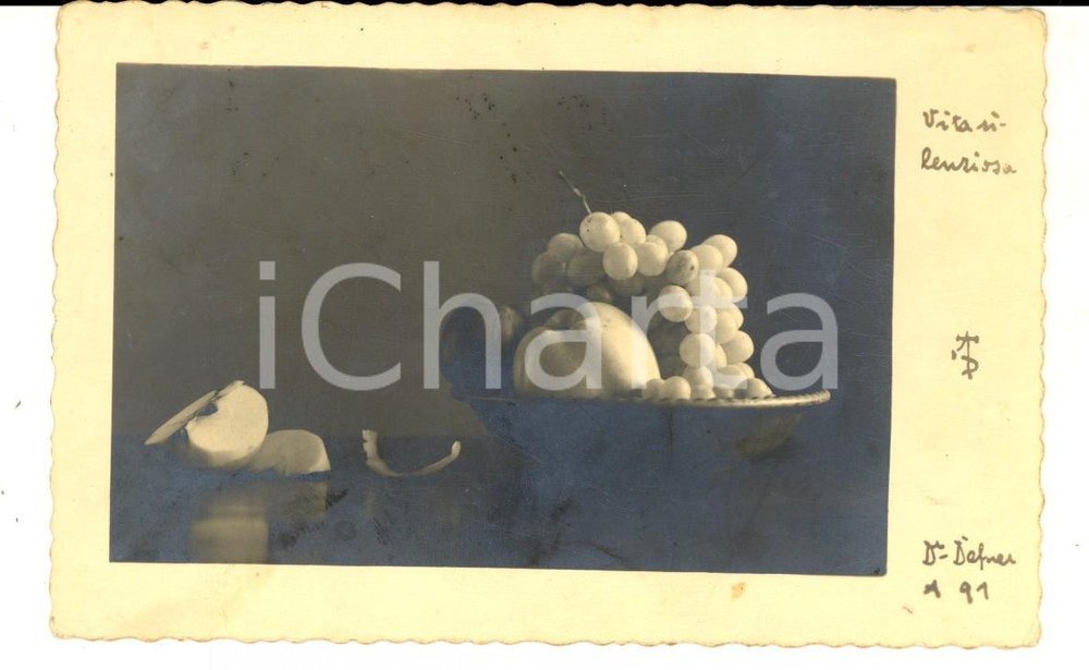 Cartolina originale da collezione 1940 ARTE Vita silenziosa Cartolina postale DEFNER FP VG 1