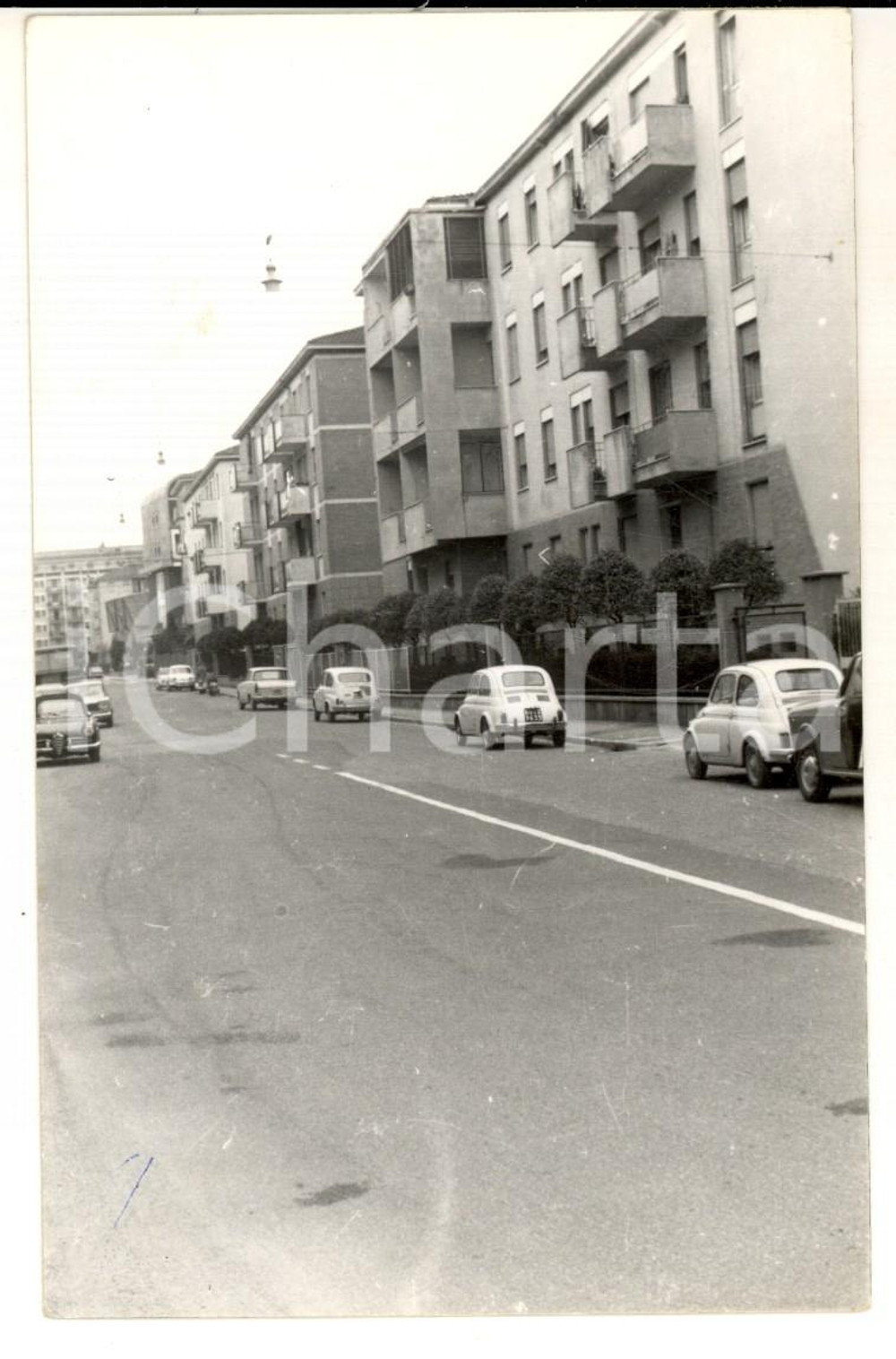 Cartolina originale da collezione 1965 BOLOGNA Veduta di una strada con FIAT 500 parcheggiate Cartolina FP VG 1