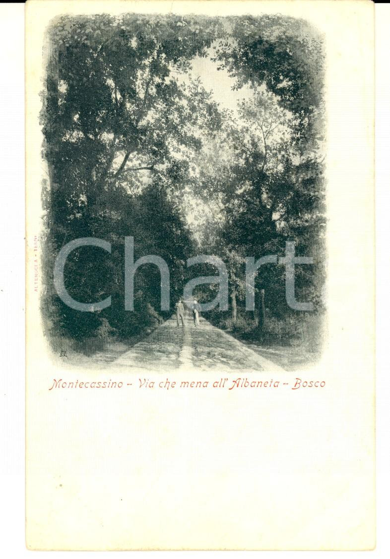 Cartolina originale da collezione 1900 ca MONTECASSINO Bosco sulla via che mena all ALBANETA Cartolina ANIMATA 1