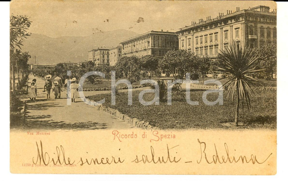 Cartolina originale da collezione 1900 ca LA SPEZIA Veduta di via MAZZINI Cartolina ANIMATA FP VG 1