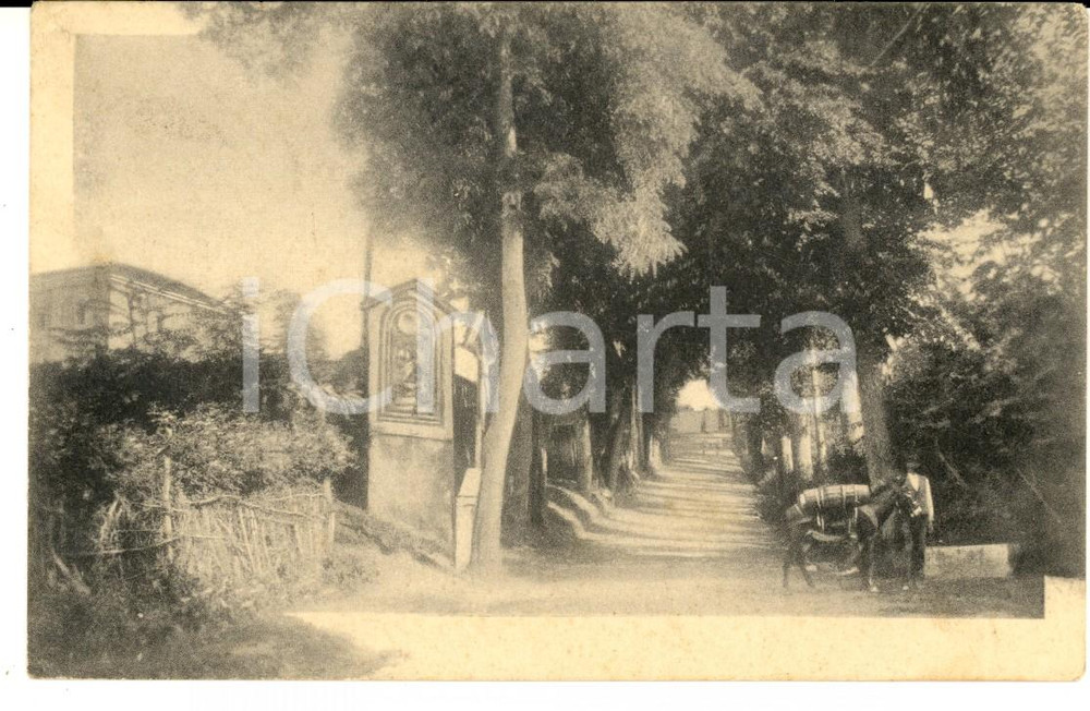 Cartolina originale da collezione 1920 COSTUMI Scena di campagna con pilone votivo Cartolina ILLUSTRATA FP VG 1