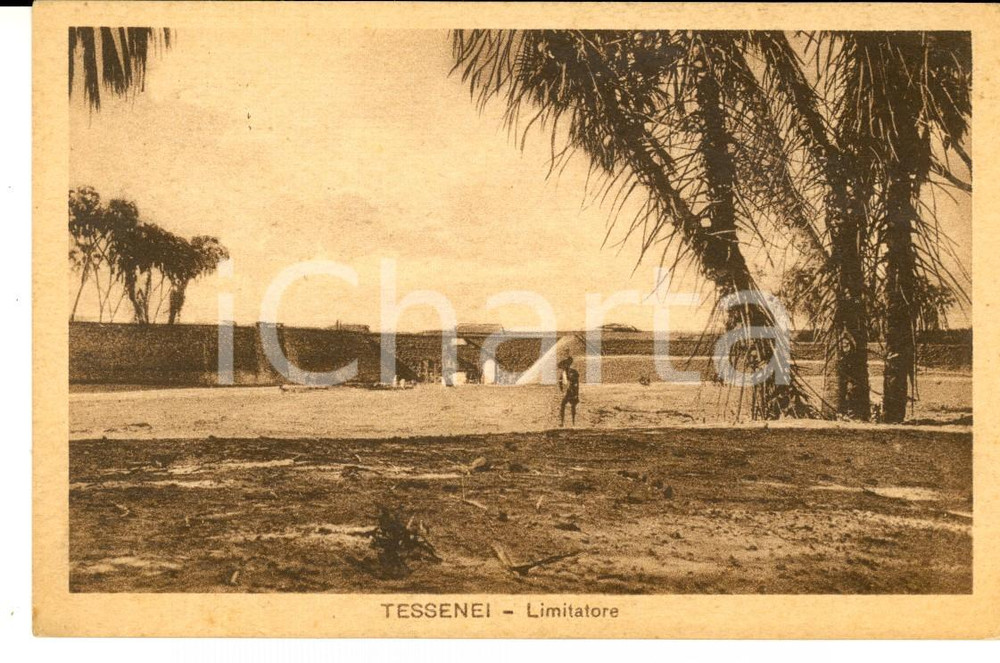 Cartolina originale da collezione 1935 AOI COSTUMI TESSENEI ERITREA Limitatore Cartolina ANIMATA FP VG 1