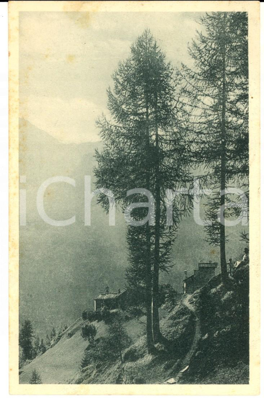 Cartolina originale da collezione 1911 CA  DI JANZO  VC Veduta della Frazione ORO Cartolina postale FP VG 1