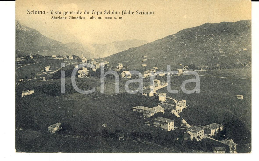 Cartolina originale da collezione 1924 SELVINO BG Vista generale da CAPO SELVINO Val SERIANA Cartolina FP VG 1