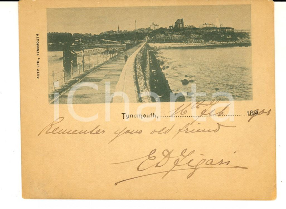 Cartolina originale da collezione 1901 TYNEMOUTH UK Panorama con il ponte Cartolina postale VINTAGE FP NV 1