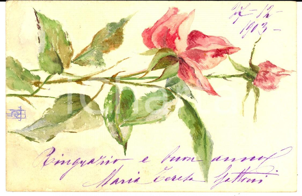Cartolina originale da collezione 1903 ARTE Un ramo di rose fiorito Cartolina DIPINTA A MANO Maria Teresa GATTONI 1