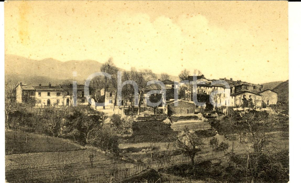 Cartolina originale da collezione 1950 ca LUCOLENA / GREVE IN CHIANTI FI Panorama del paese Cartolina FP VG 1