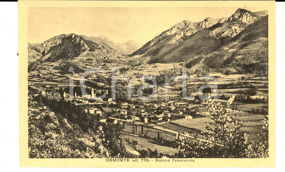 Cartolina originale da collezione 1930 ca DEMONTE CN Scorcio panoramico del paese Cartolina postale FP NV 1