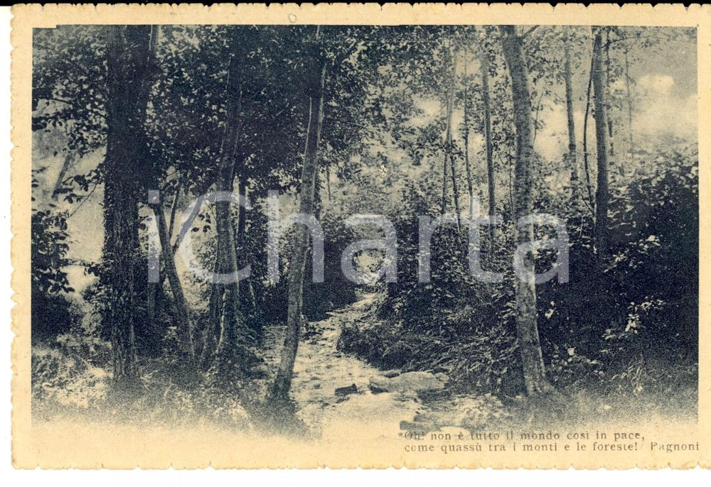 Cartolina originale da collezione 1916 MONTAGNA Oh, non Ã¨ tutto mondo cosÃ¬ in pace Cartolina postale FP VG 1