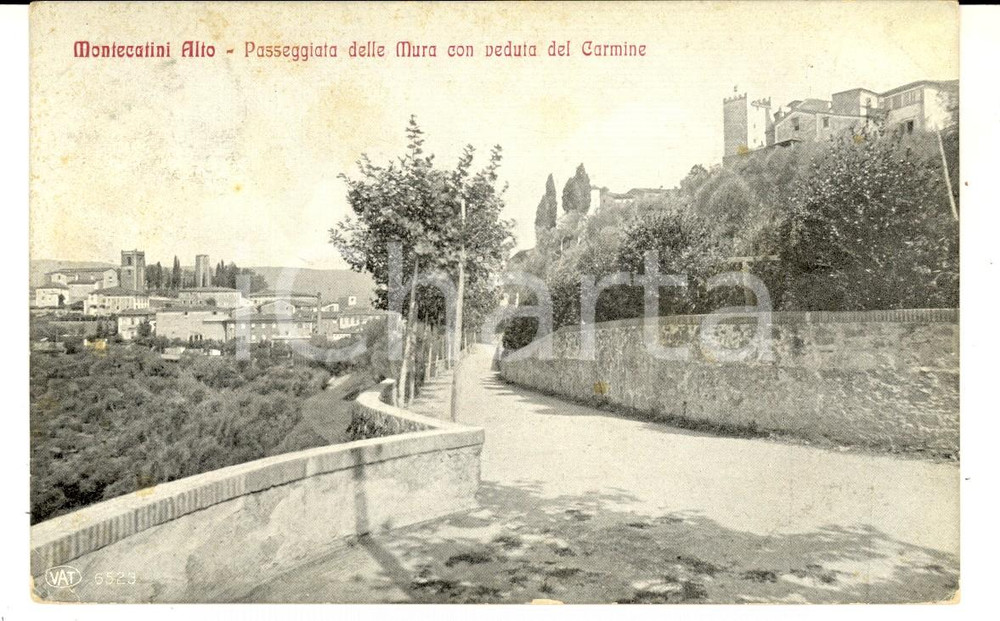 Cartolina originale da collezione 1910 MONTECATINI ALTO Passeggiata delle Mura e Carmine Cartolina FP VG 1