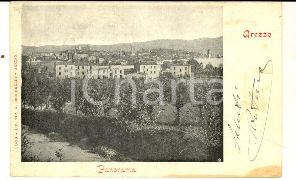 Cartolina originale da collezione 1909 AREZZO Panorama tra gli ulivi Cartolina postale VINTAGE FP VG 1
