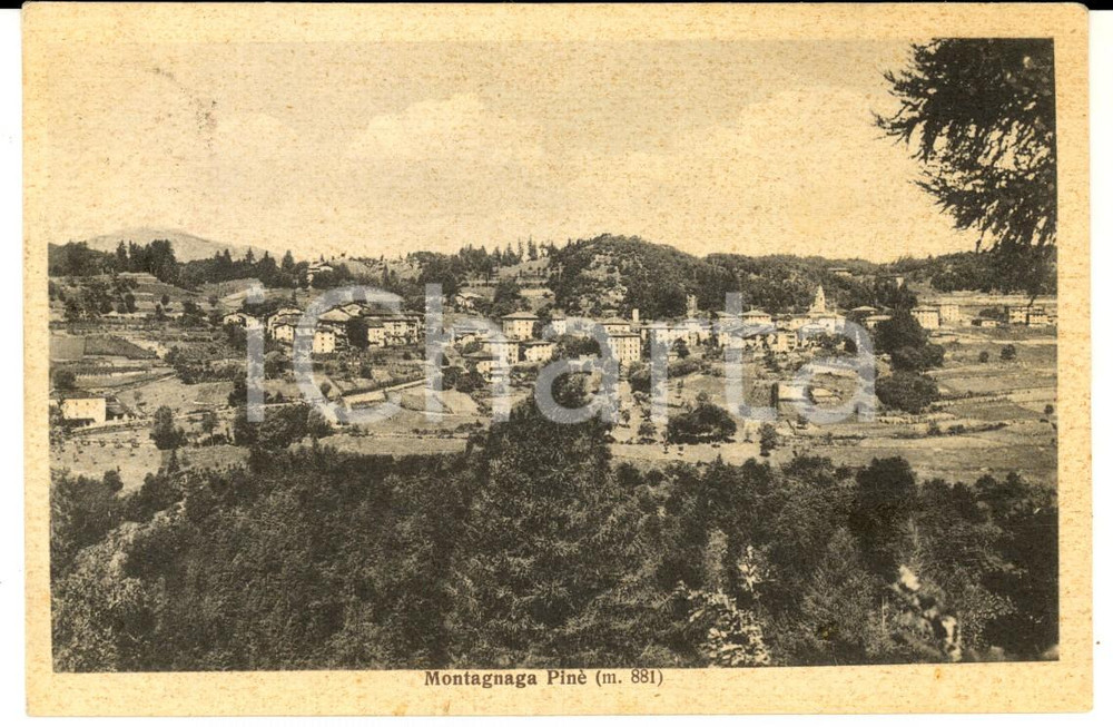 Cartolina originale da collezione 1938 MONTAGNAGA DI PINE  TN Panorama del paese Cartolina postale FP NV 1