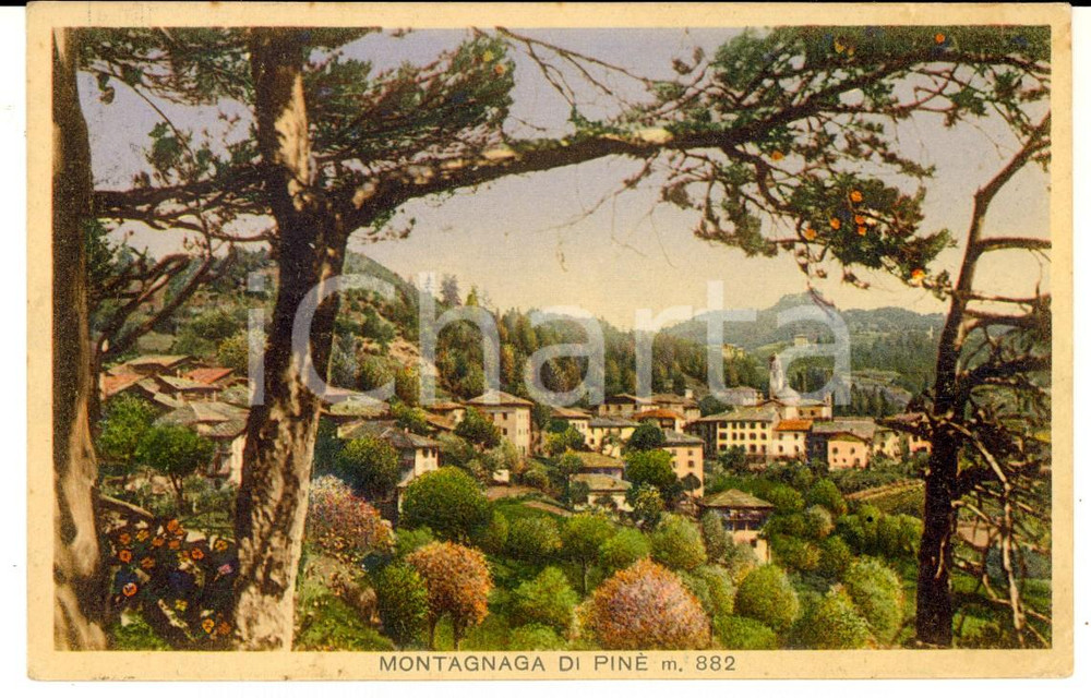 Cartolina originale da collezione 1937 MONTAGNAGA DI PINE  TN Panorama del paese Cartolina illustrata FP VG 1
