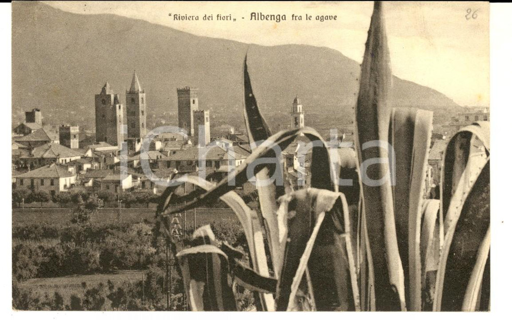 Cartolina originale da collezione 1954 ALBENGA SV Panorama tra le agave  RIVIERA DEI FIORI Cartolina FP VG 1