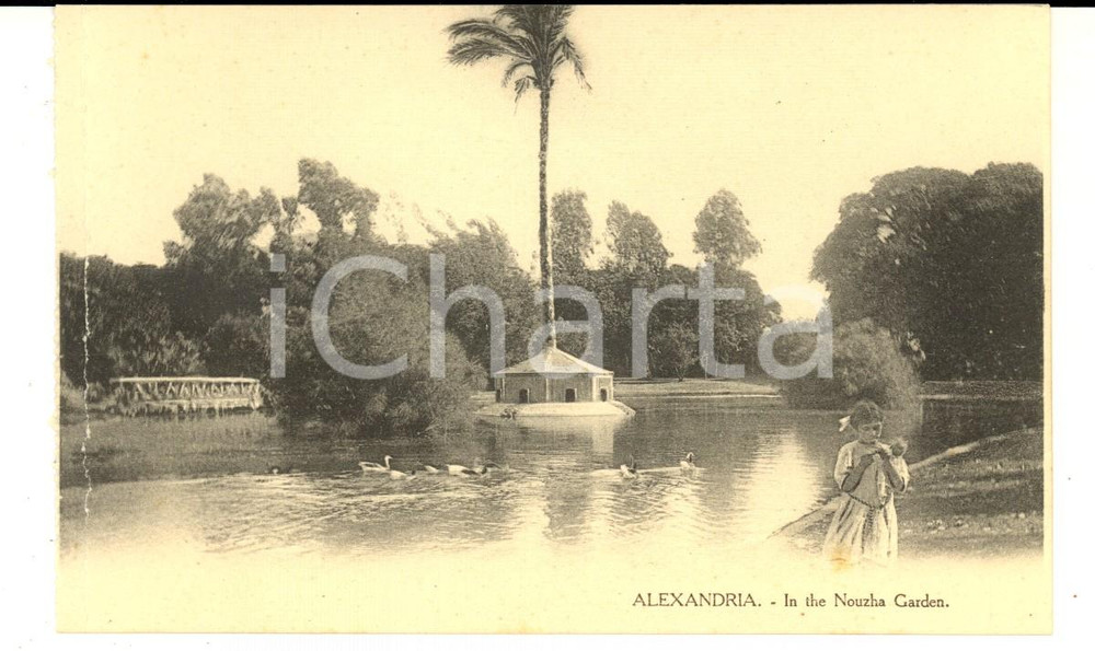 1910 ca ALEXANDRIE (EGYPTE) Au jardin NOUZHA *Carte postale ANIMEE