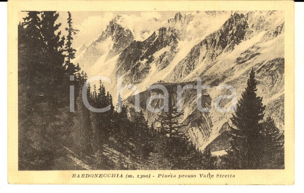 Cartolina originale da collezione 1923 BARDONECCHIA TO Pineta verso Valle Stretta Cartolina postale FP VG 1