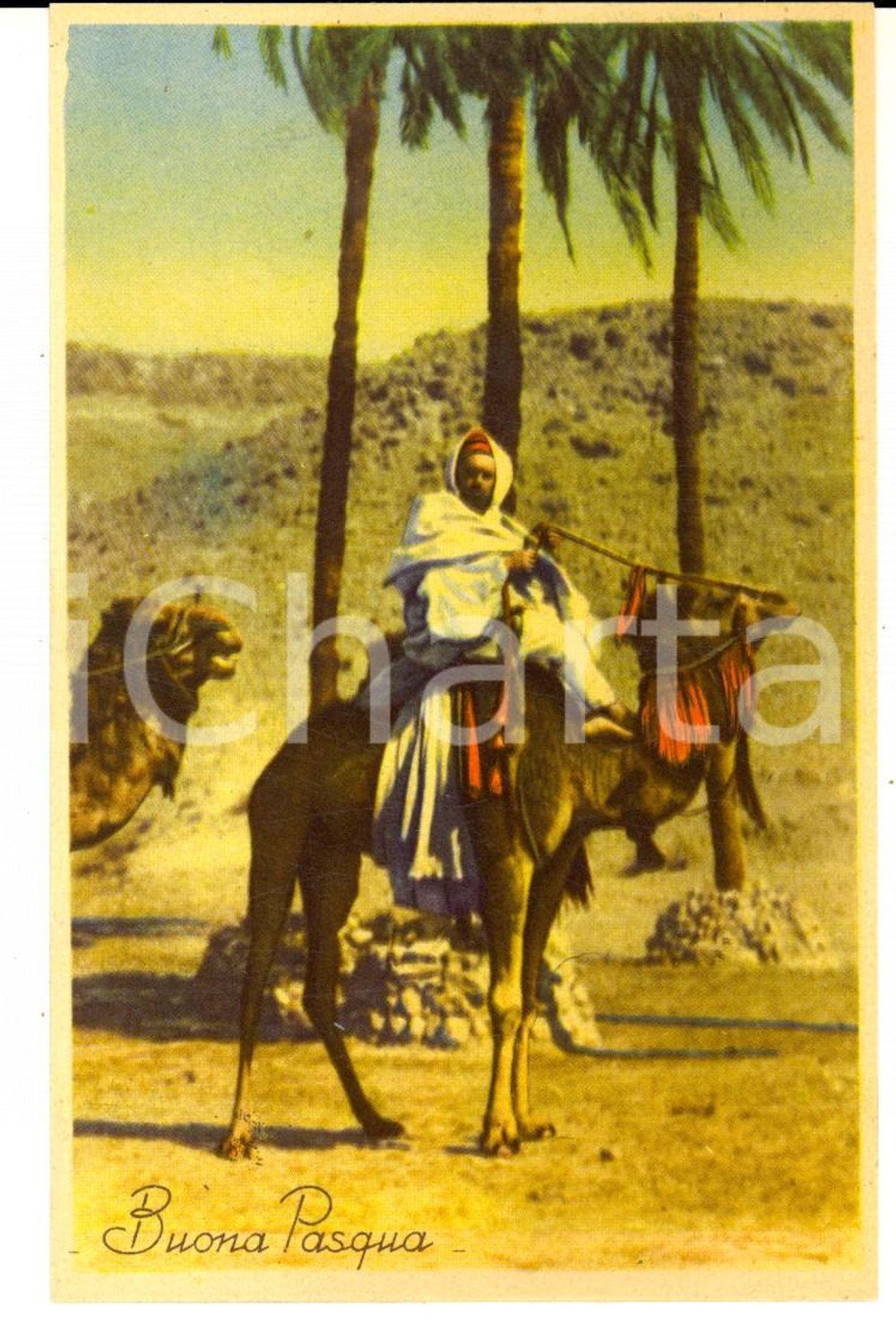 Cartolina originale da collezione 1940 ca BOLOGNA MISSIONI S. CUORE Buona Pasqua  Africa Cartolina FP NV 1