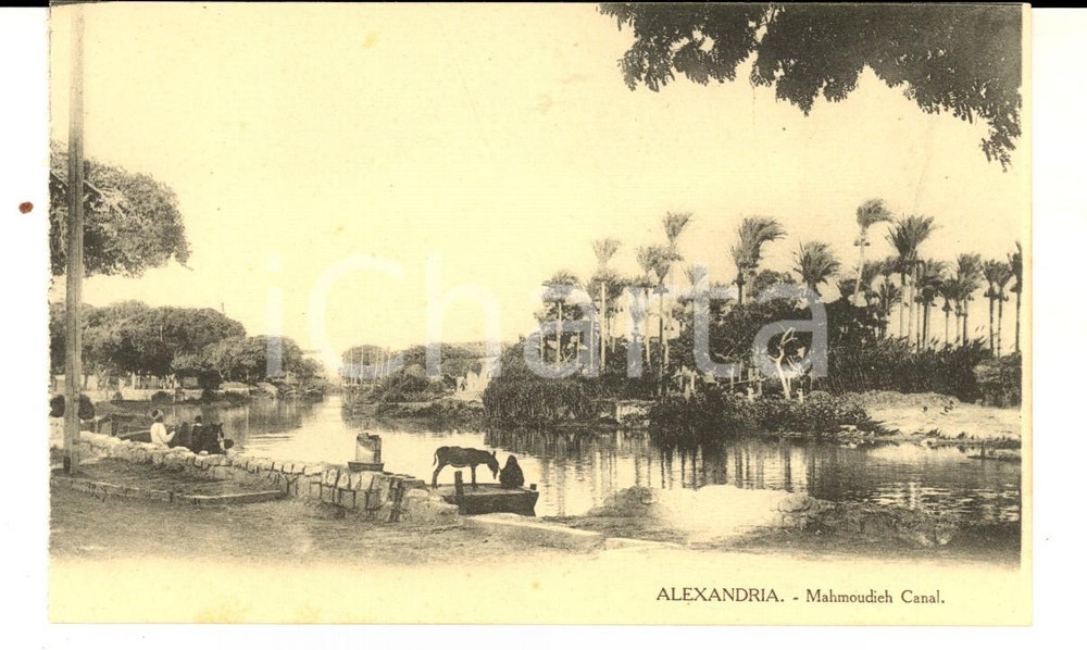 Cartolina originale da collezione 1910 ca ALEXANDRIE EGYPTE Canal MALMOUDIEH Carte postale VINTAGE 1