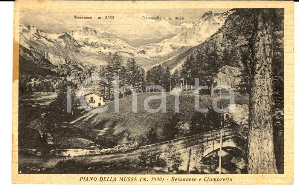 Cartolina originale da collezione 1930 ca BALME TO Pian della MUSSA con BESSANESE e CIMARELLA Cartolina FP 1